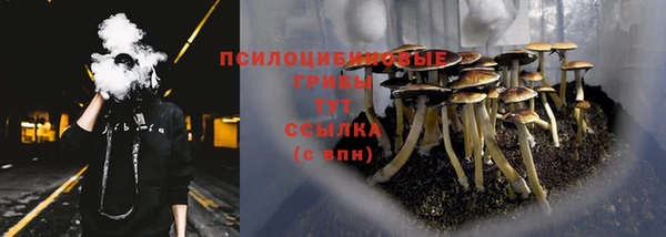 индика Баксан
