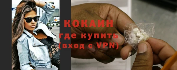 индика Баксан