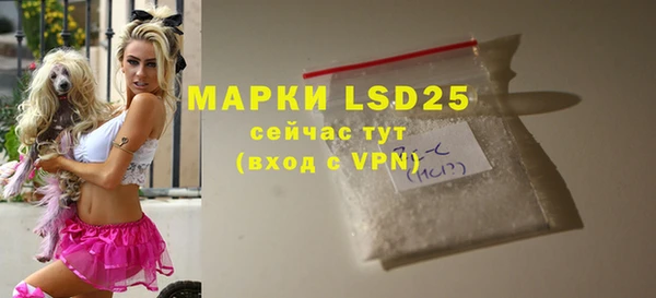 индика Баксан