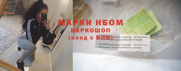 индика Баксан
