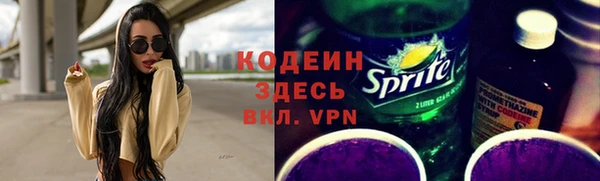 индика Баксан