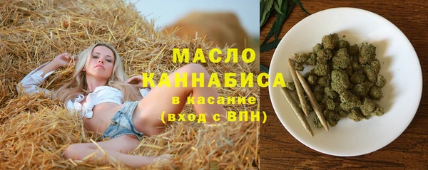индика Баксан