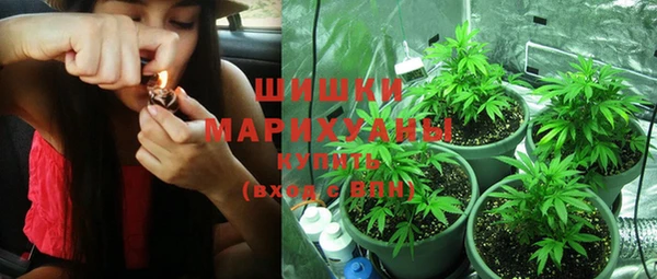 индика Баксан